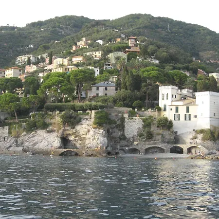 Mare E Portofino - Sea And Portofino