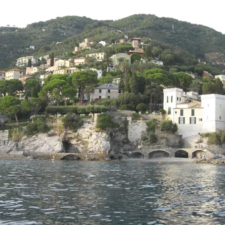 Mare E Portofino - Sea And Portofino