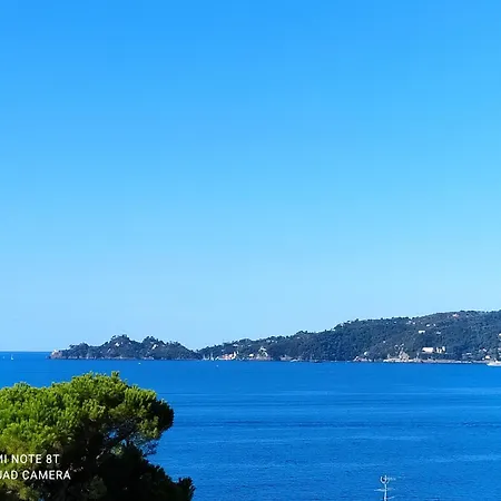 Mare E Portofino - Sea And Portofino