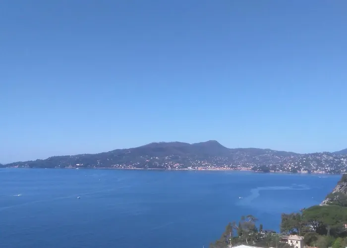 Mare E Portofino - Sea And Portofino *