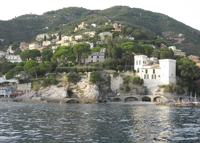 Mare E Portofino - Sea And Portofino